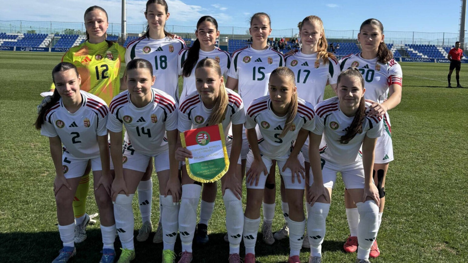 Vereség Írország ellen