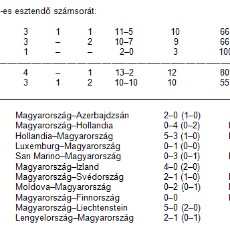 Ez volt 2013 - mérlegen a válogatottak